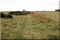 Bridleway to Bingfield