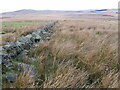 Moorland towards Red Moss