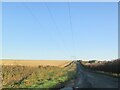 Nine  Dikes  Road  toward  Burton  Fleming