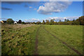 Thames path at Abingdon-on-Thames