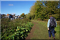 Thames path at Abingdon-on-Thames