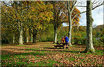 NS2310 : Autumn at Culzean Country Park by Mary and Angus Hogg