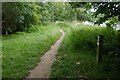 Path beside the Tweed