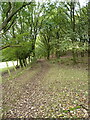 Footpath north of Meadows Farm