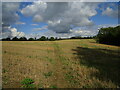 Bridleway to Pytchley