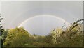 TF0820 : Rainbow of Hope by Bob Harvey