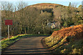 Approaching Linhope