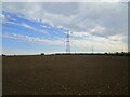 SP8175 : Sown field and electricity pylons by Jonathan Thacker