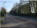 A near empty Farnborough Road