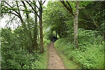 SP4508 : Thames Path, Wytham Woods by N Chadwick