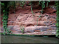 SO8685 : Sandstone exposure north of Stourton Junction in Staffordshire by Roger  Kidd