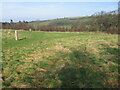 Path through open area in Kerse woodland