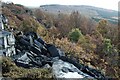 SK2997 : Wharncliffe Crags by Dave Pickersgill