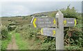 SS5387 : Penmaen Burrows - Coast Path by Colin Smith