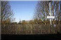 View north of trees around Gretna House over fence of Gretna Green station