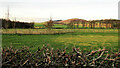 Fields near Whaupee House