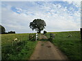 Gate on Mawsley Lane