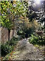 Path through Braunstone Park