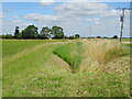 Drain beside Hurnbridge Road