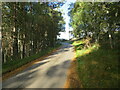 Road at Rymore, Tulloch