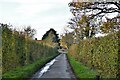 Haughley Green: Looking towards Rectory Road from Rowells Lane