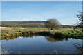 Pond by Hawkshaw Lane