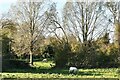 Buxhall: Two adjacent fields used for grazing