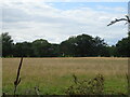 TF2263 : Grassland off Wellsyke Lane by JThomas