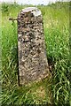 Benchmark on gatepost on north side of track to Hurries Farm