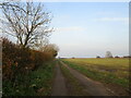 Farm track off Old Brickkiln Lane