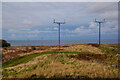 Berwick-Upon-Tweed : Grassy Field