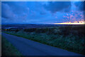 Berwick-Upon-Tweed : Country Lane