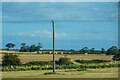 NU0344 : Ancroft : Grassy Field by Lewis Clarke