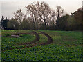 Tractor tracks on arable field, Little Warley