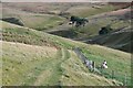 NT1645 : Track on Whiteside Hill by Jim Barton