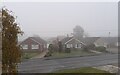 TF0820 : A foggy morning by Bob Harvey