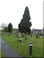 St Michael, Cumnor: churchyard (2)