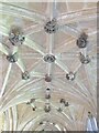 ST9168 : Lacock Abbey - Cloister Vaulting by Colin Smith