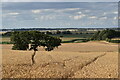 View of Waltom Marshes from Marsh Lane