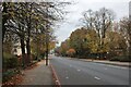 Camden Road, Holloway