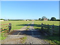 Farm track near The Limes