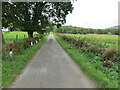 NN6393 : Minor road at Breakachy by Peter Wood