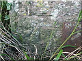 Benchmark on a gatepost on Alston Sutton Road