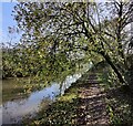 SP3783 : Towpath along the Oxford Canal by Mat Fascione