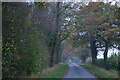 TM3367 : Lane beside Bruisyard Wood by Christopher Hilton