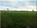 Field, north-east of Castle Farm