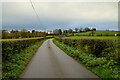 H6158 : Greenhill Road, Greenhill Demesne by Kenneth  Allen
