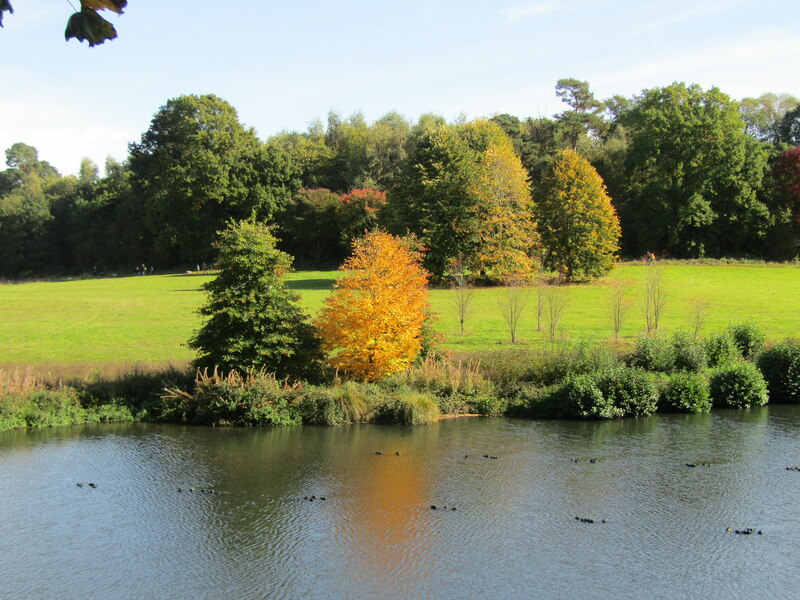 Winkworth Arboretum © Colin Smith :: Geograph Britain and Ireland