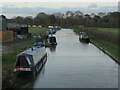 SK3706 : Boats moored on the Ashby Canal by Christine Johnstone