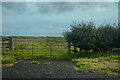 NU1721 : Eglingham : Grassy Field & Gate by Lewis Clarke